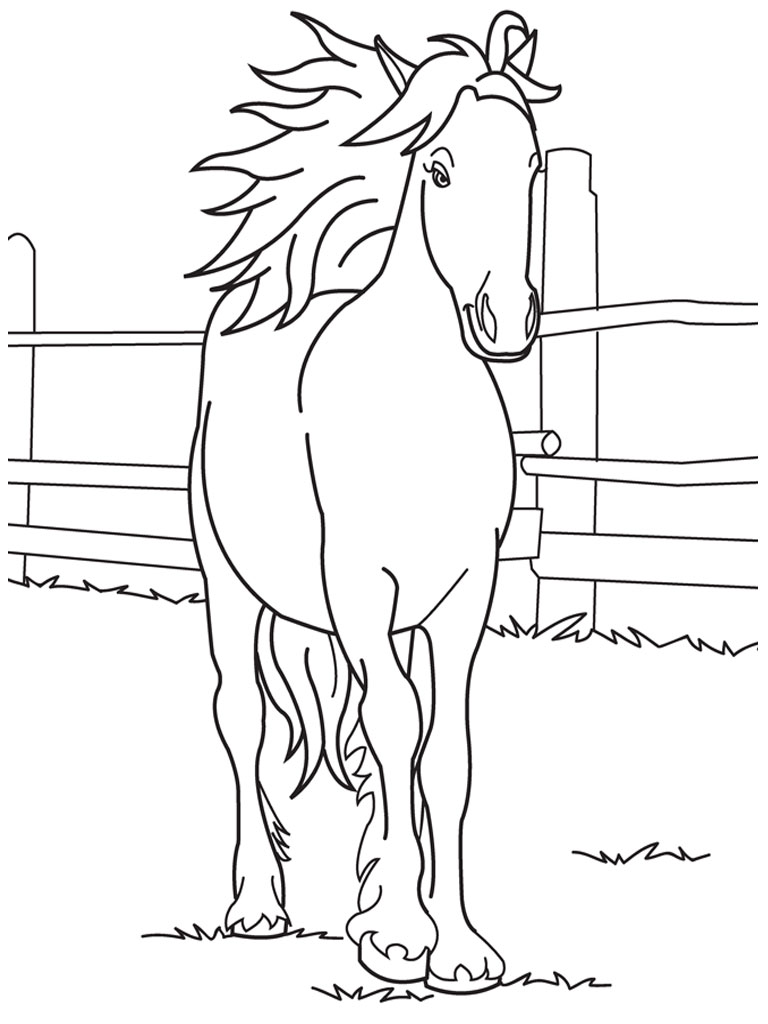 Kolorowanka koń stojący w zagrodzie